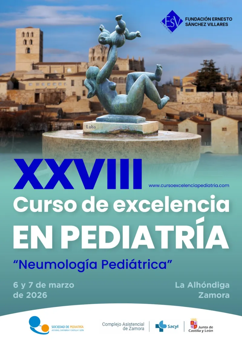 XXVIII Curso de Excelencia en Pediatría: Neumología